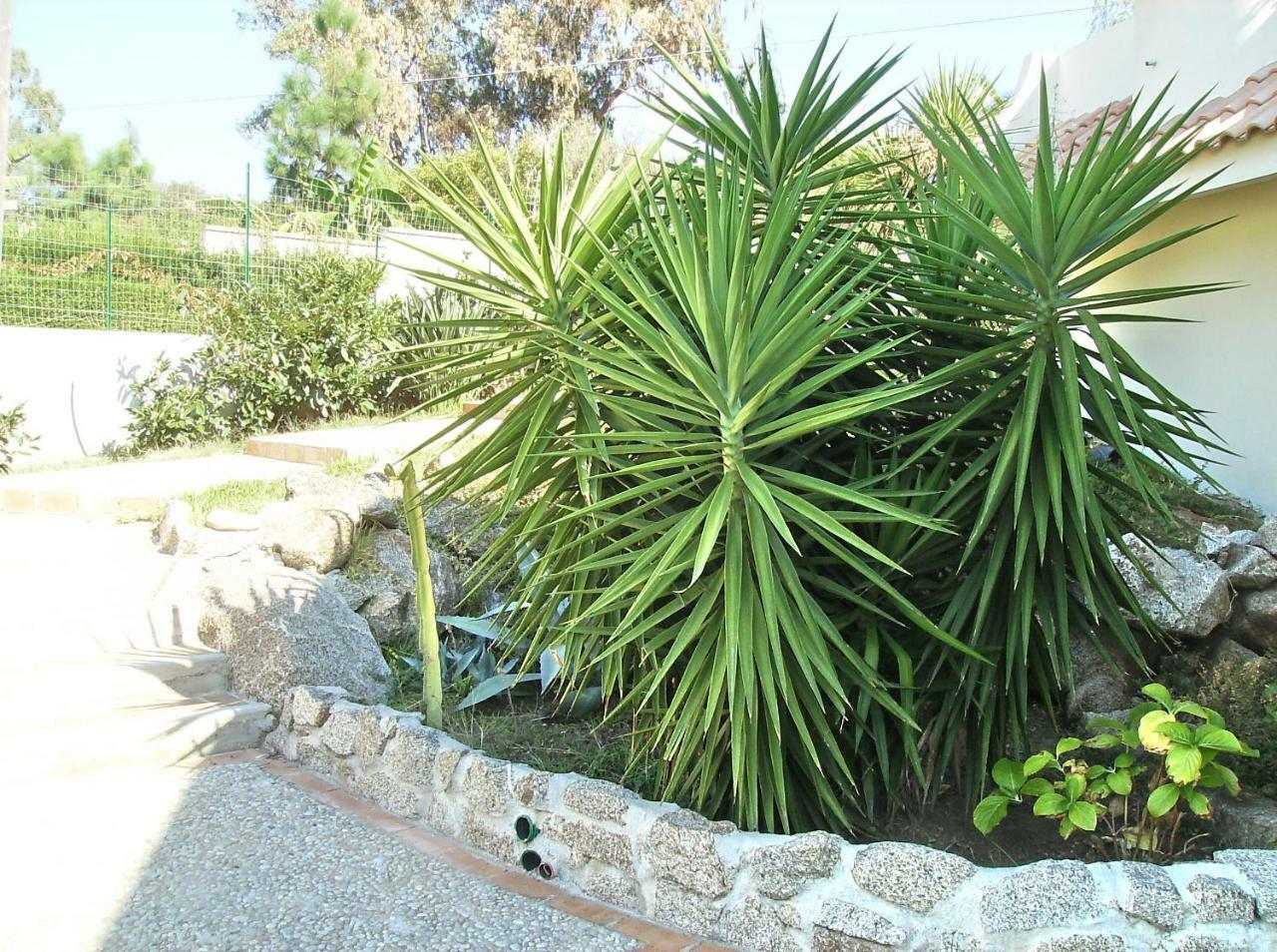 Residenza Marinella Apart otel Zambrone Dış mekan fotoğraf